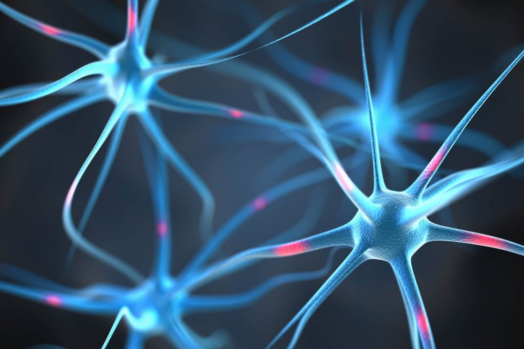 epilepsy awareness including rescue medication